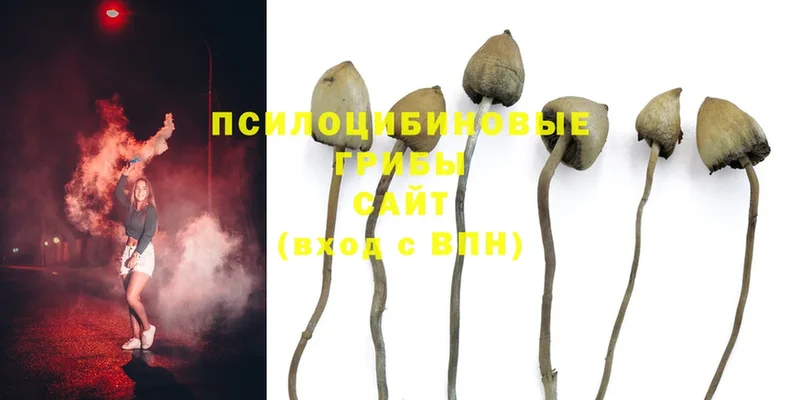 МЕГА рабочий сайт  Ивантеевка  Галлюциногенные грибы MAGIC MUSHROOMS 