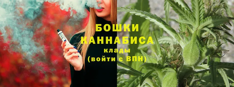 Канабис OG Kush  Ивантеевка 